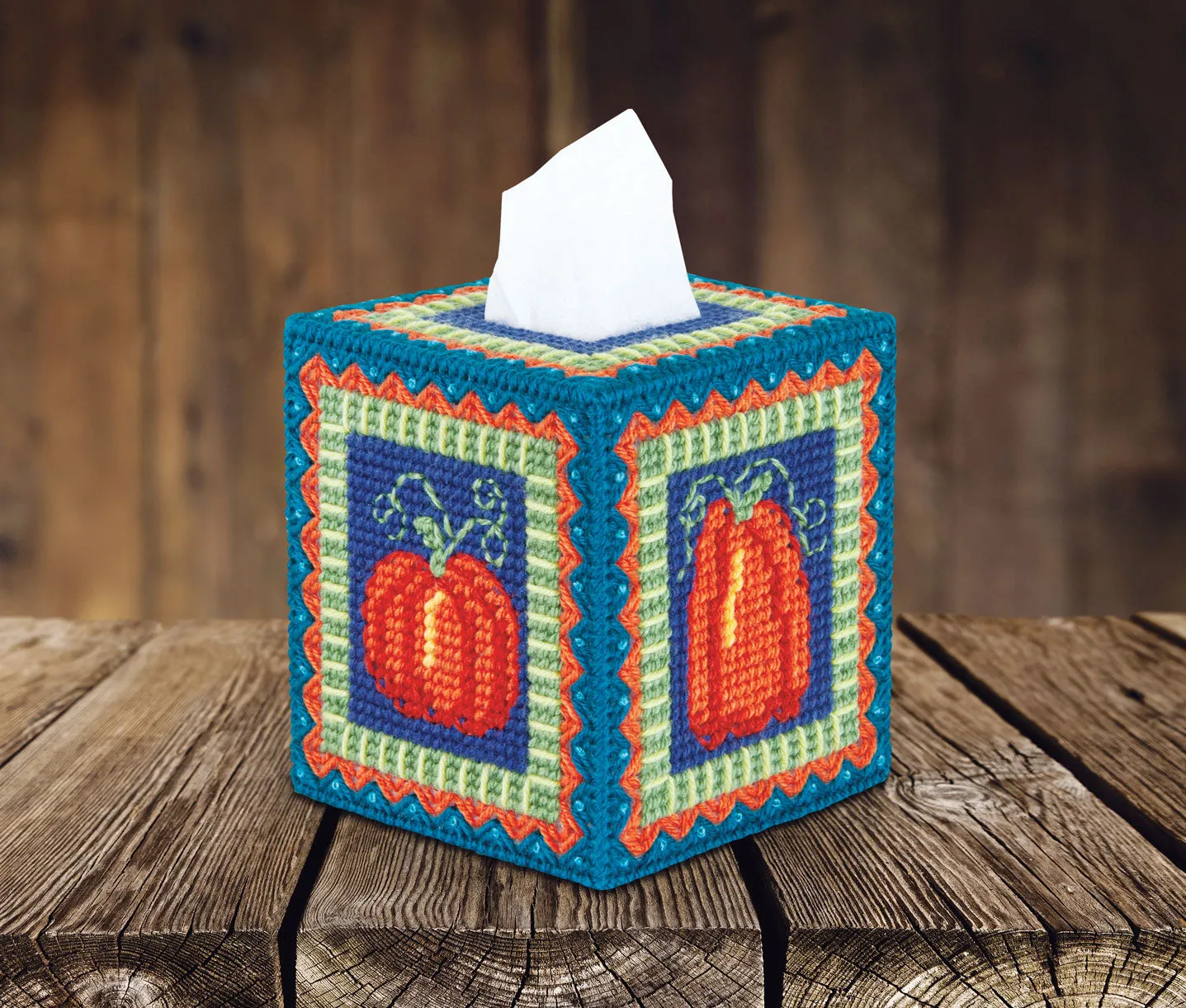 Pumpkin Patch Plastic Canvas Tissue Box Cover